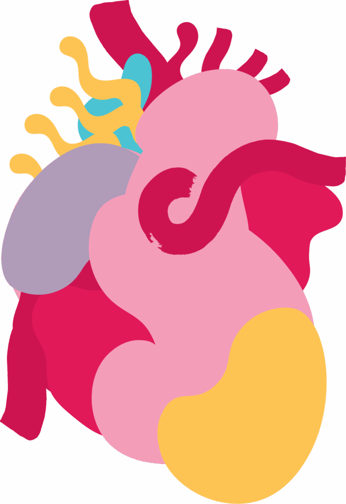 Hjerte